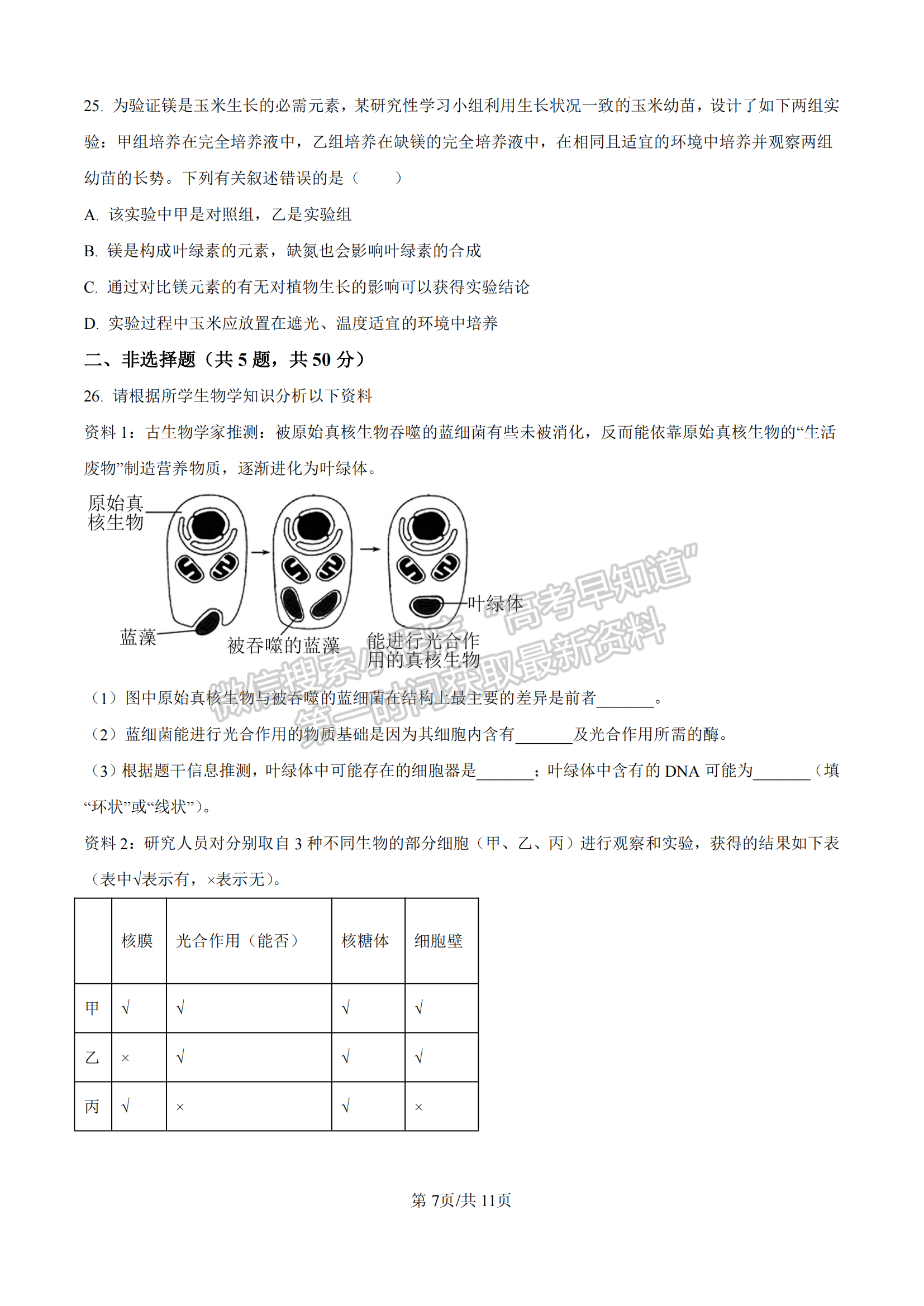 福建省漳州市十校聯(lián)盟2024-2025學(xué)年高一上學(xué)期期中聯(lián)考生物試題及參考答案