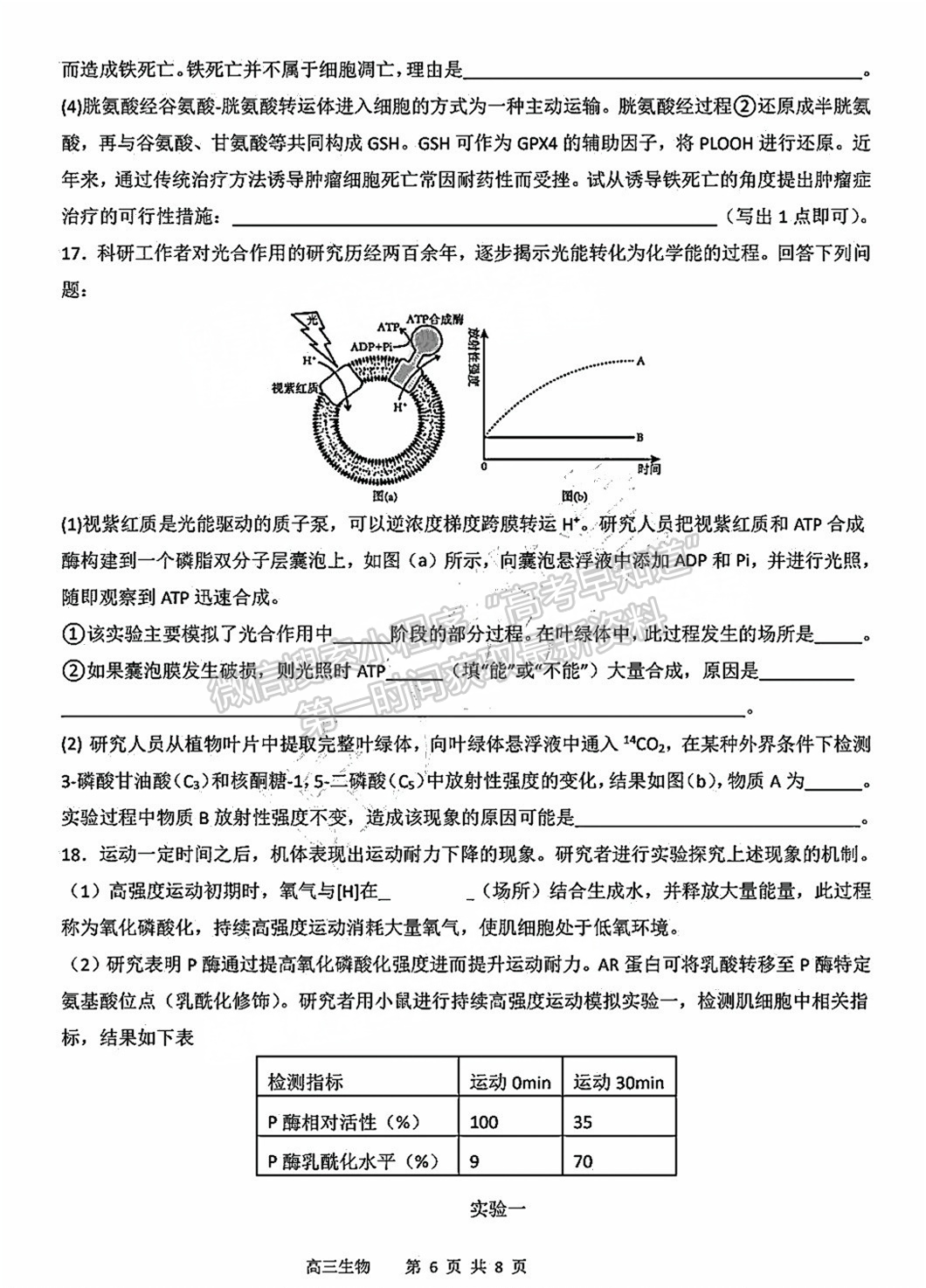 2025屆泉州四校高三上期中聯(lián)考生物試題及參考答案