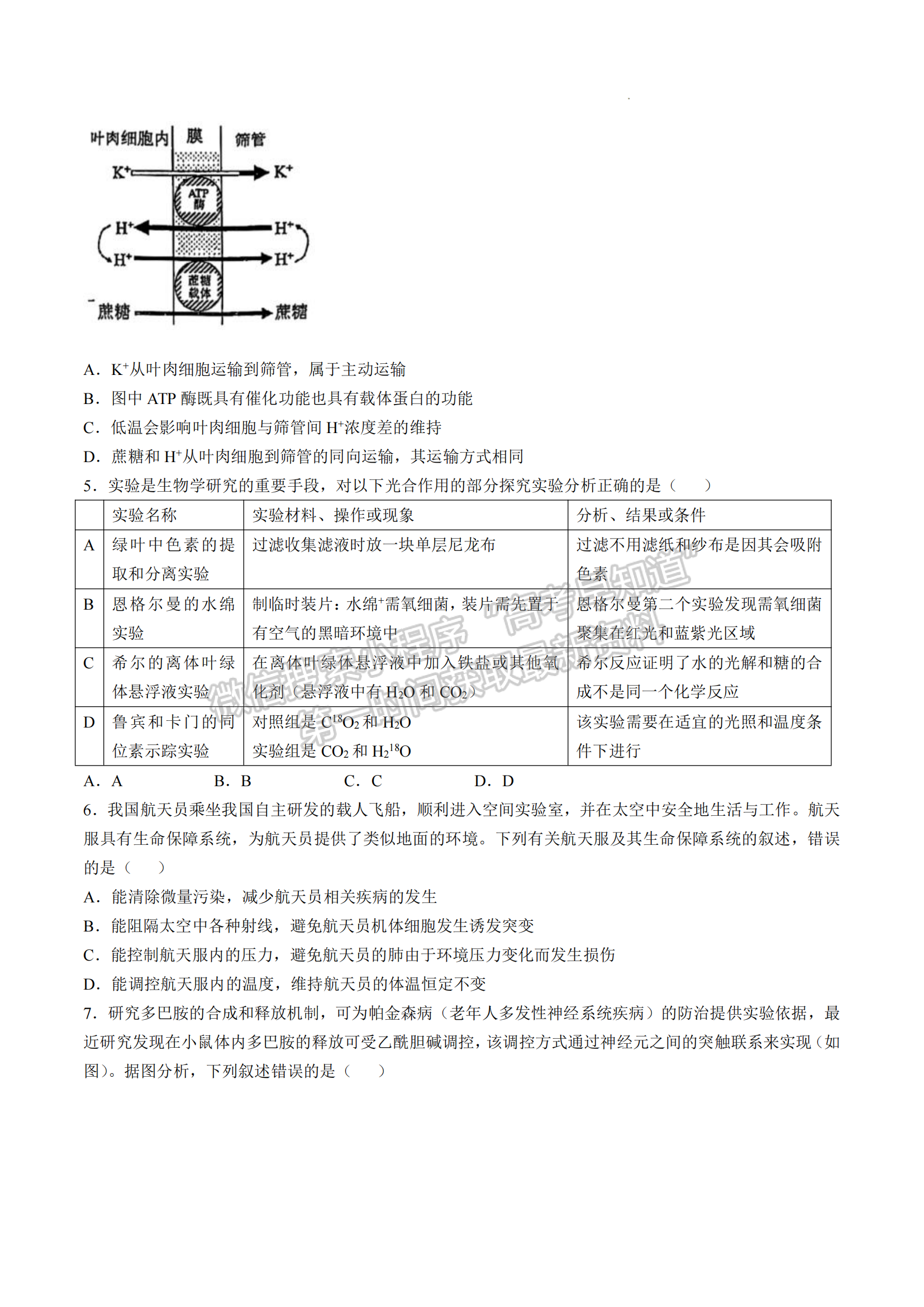 福建省福州第三中学2024-2025学年高三上学期11月期中生物试题及参考答案