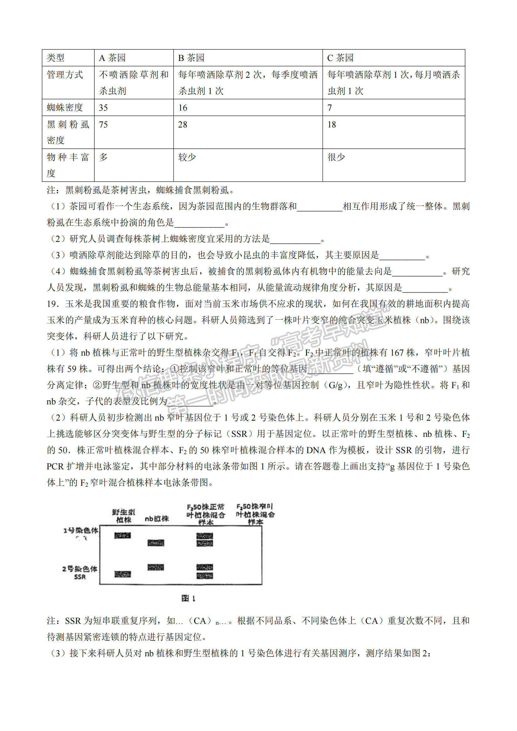 福建省福州第三中学2024-2025学年高三上学期11月期中生物试题及参考答案