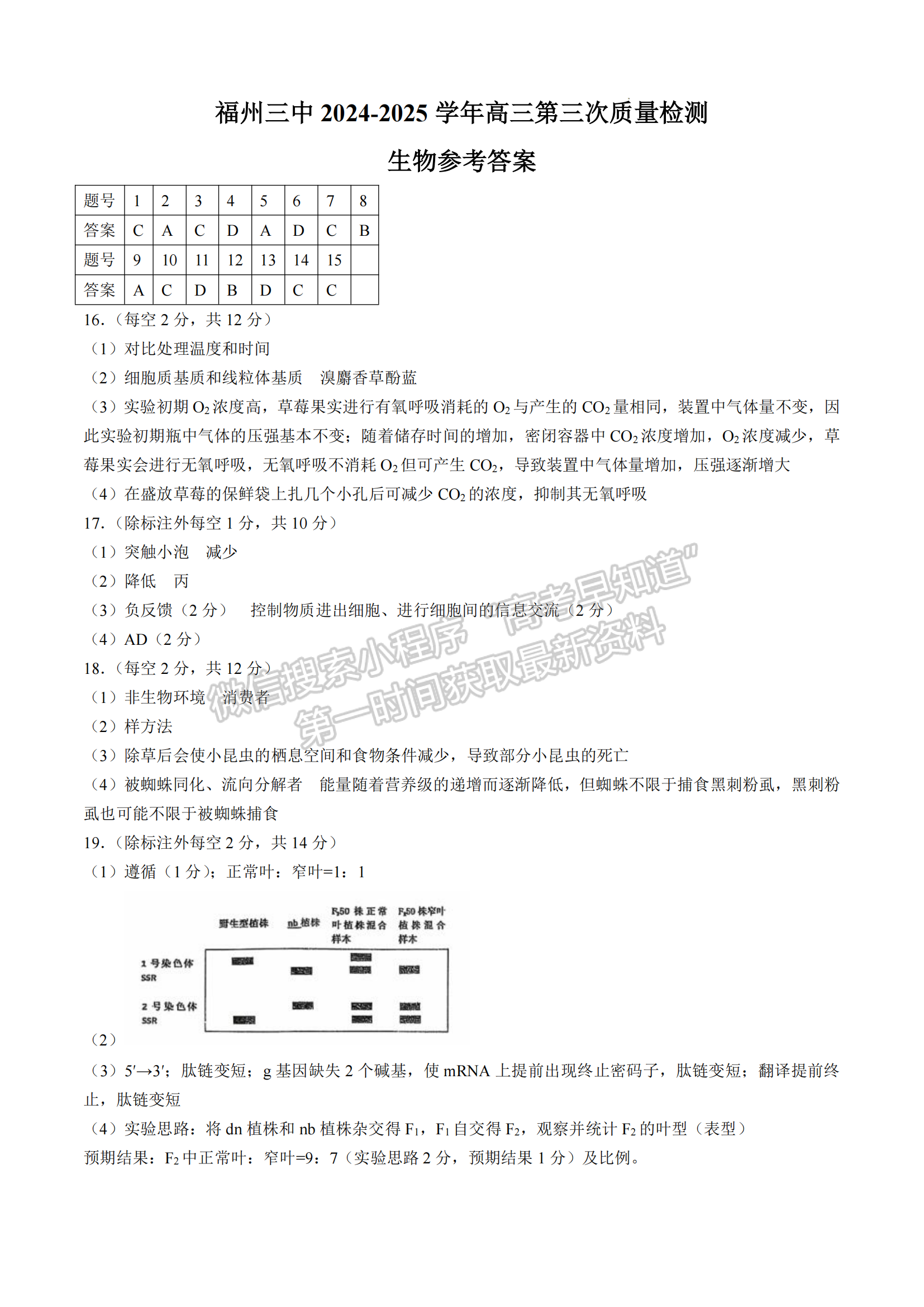 福建省福州第三中學2024-2025學年高三上學期11月期中生物試題及參考答案