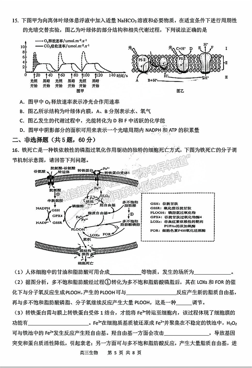 2025屆泉州四校高三上期中聯(lián)考生物試題及參考答案