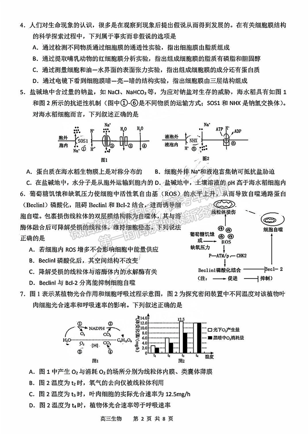 2025屆泉州四校高三上期中聯(lián)考生物試題及參考答案