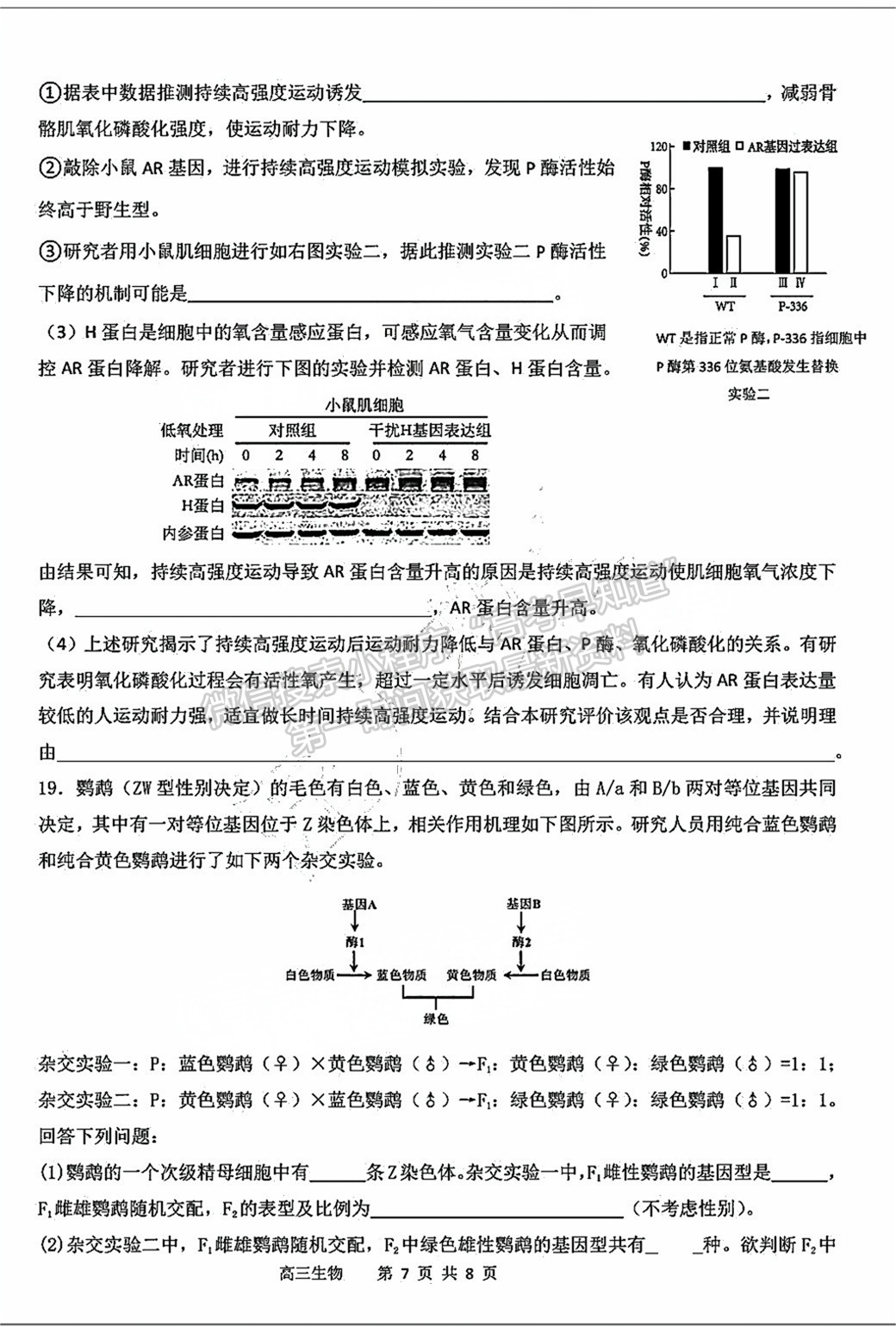 2025屆泉州四校高三上期中聯(lián)考生物試題及參考答案