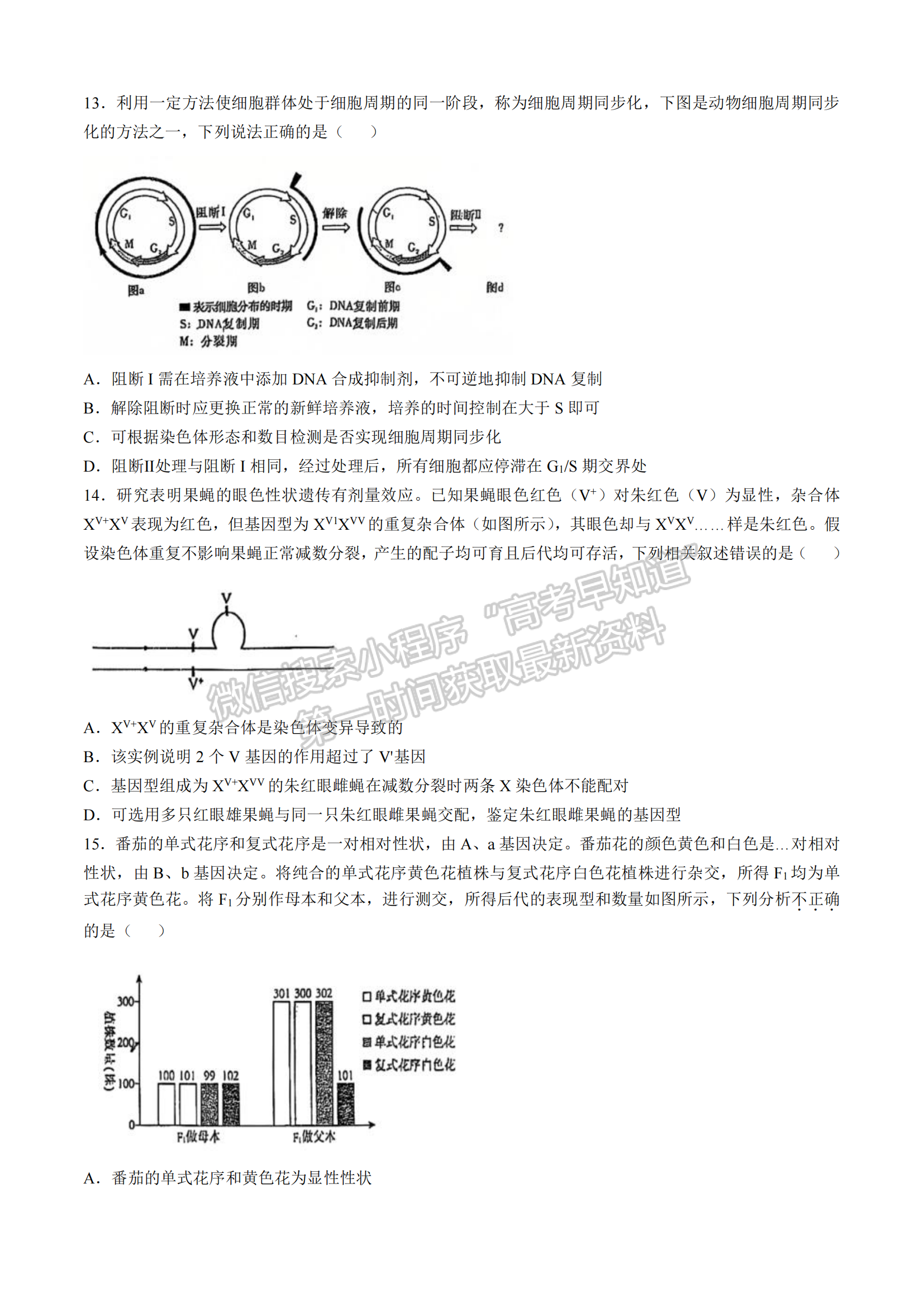 福建省福州第三中学2024-2025学年高三上学期11月期中生物试题及参考答案