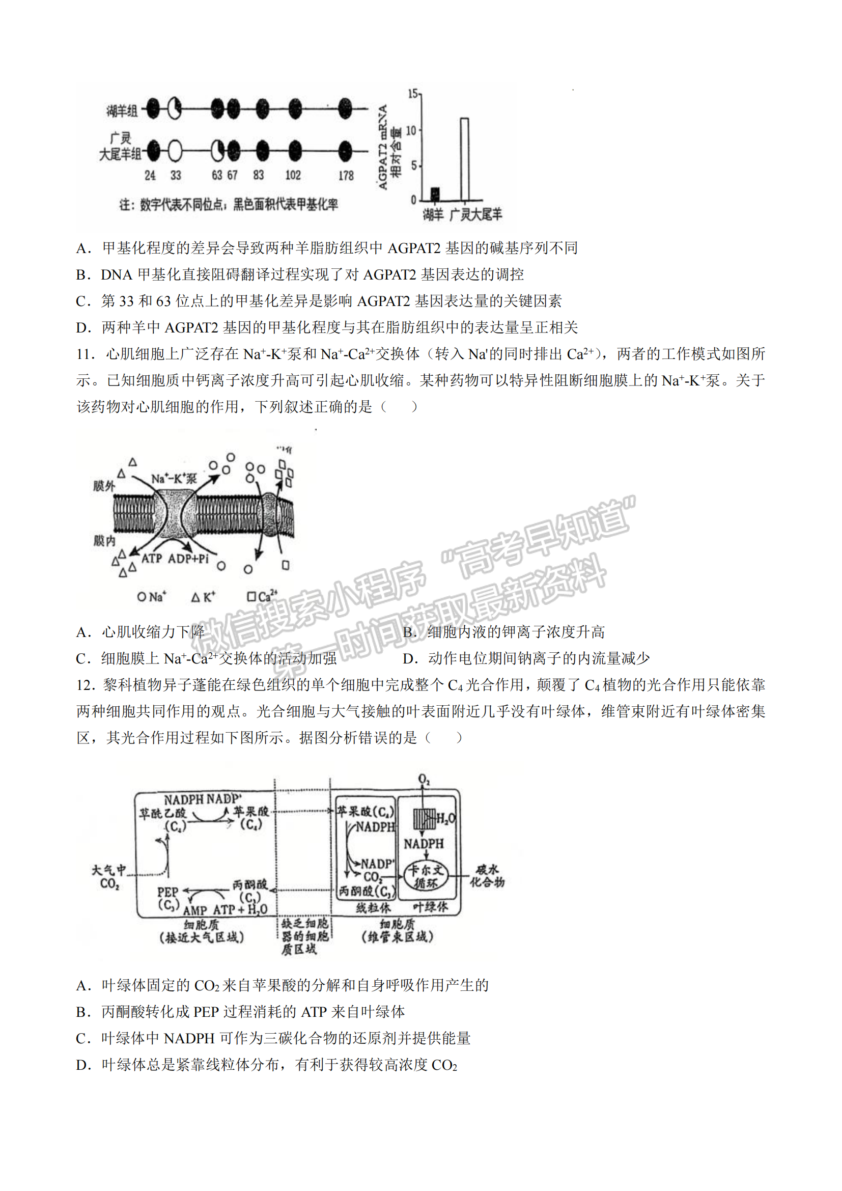 福建省福州第三中学2024-2025学年高三上学期11月期中生物试题及参考答案