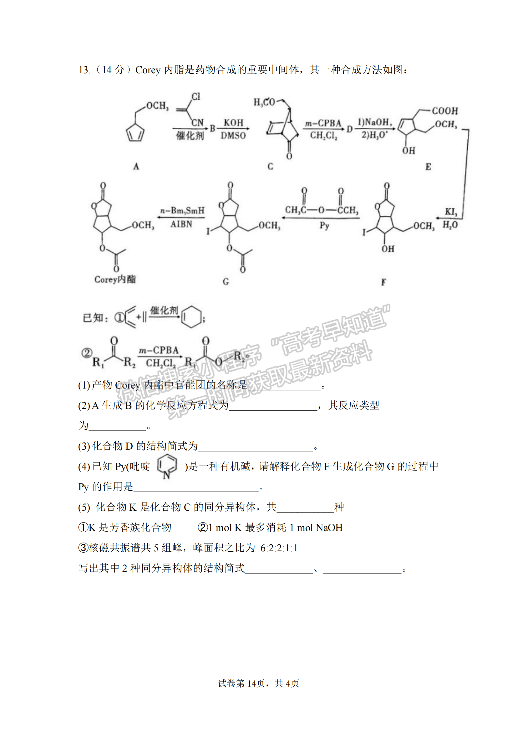 福建省福州第三中學2024-2025學年高三上學期11月期中化學試題及參考答案