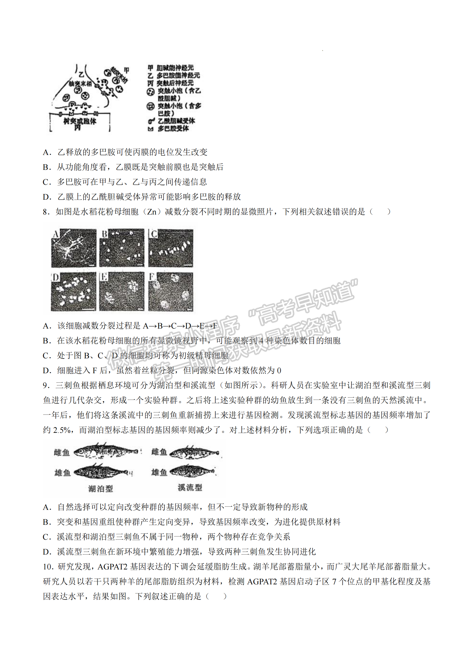 福建省福州第三中学2024-2025学年高三上学期11月期中生物试题及参考答案