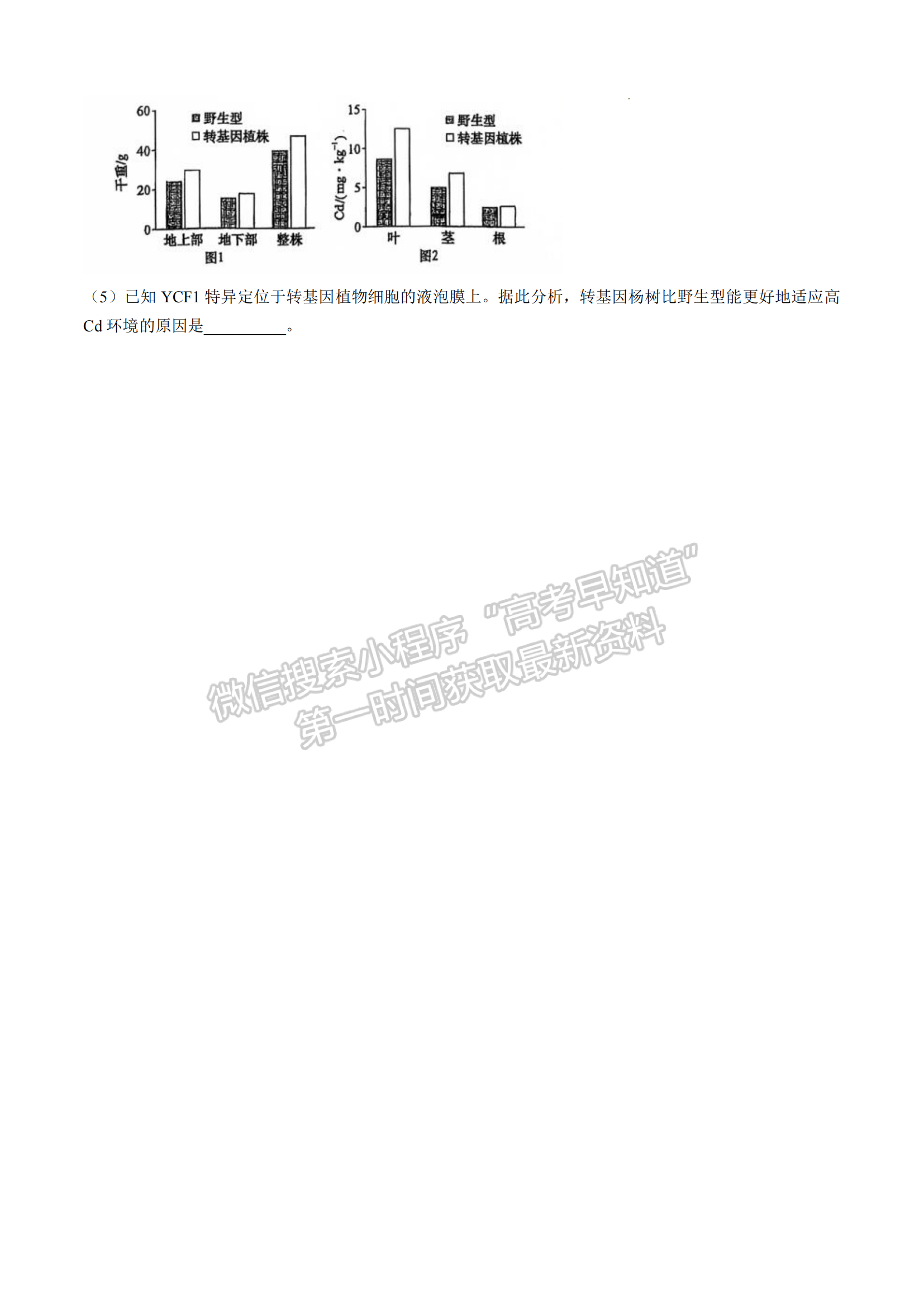 福建省福州第三中学2024-2025学年高三上学期11月期中生物试题及参考答案