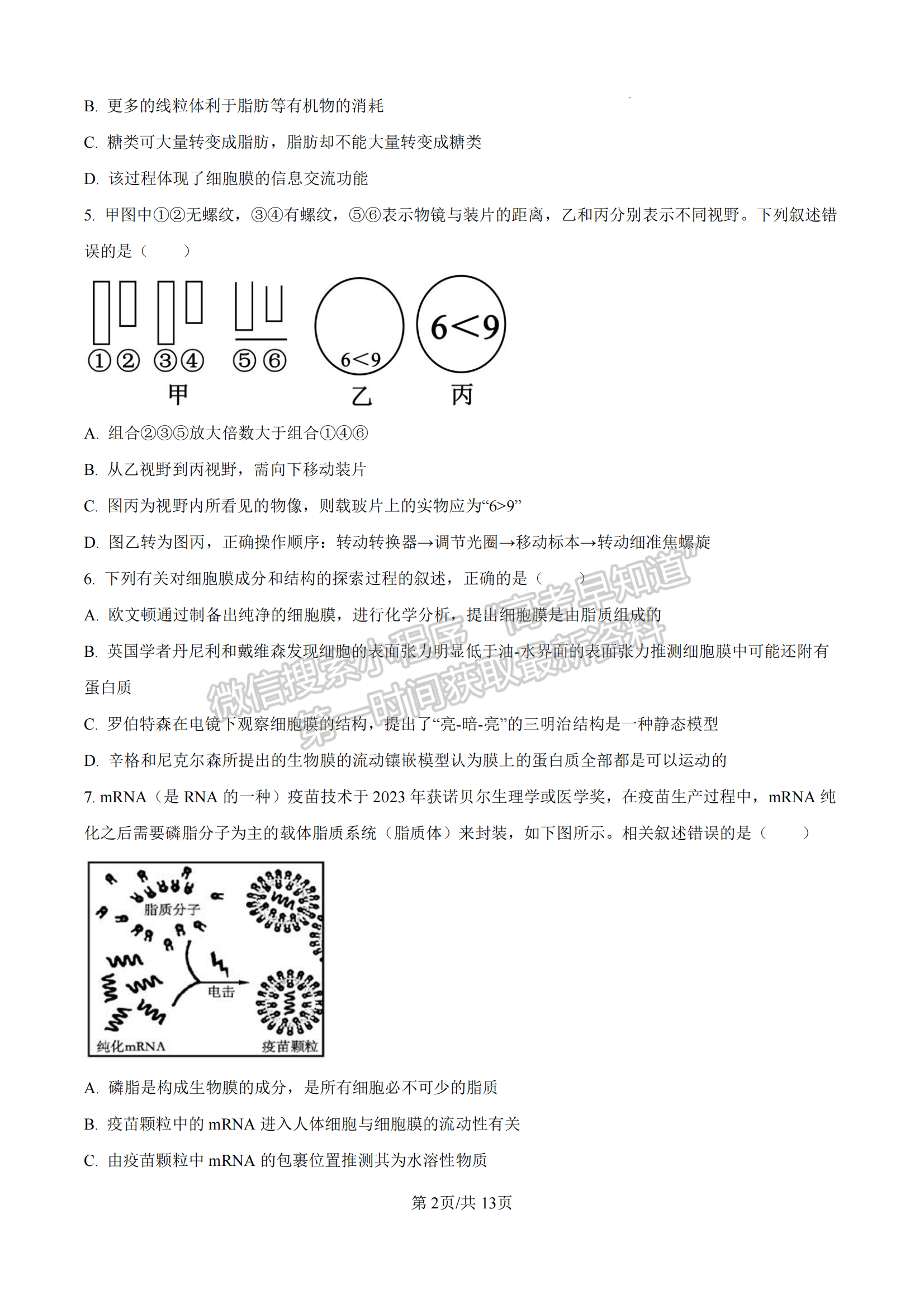 福建省泉州第五中學(xué)2024-2025學(xué)年高一11月期中考試生物試卷及參考答案