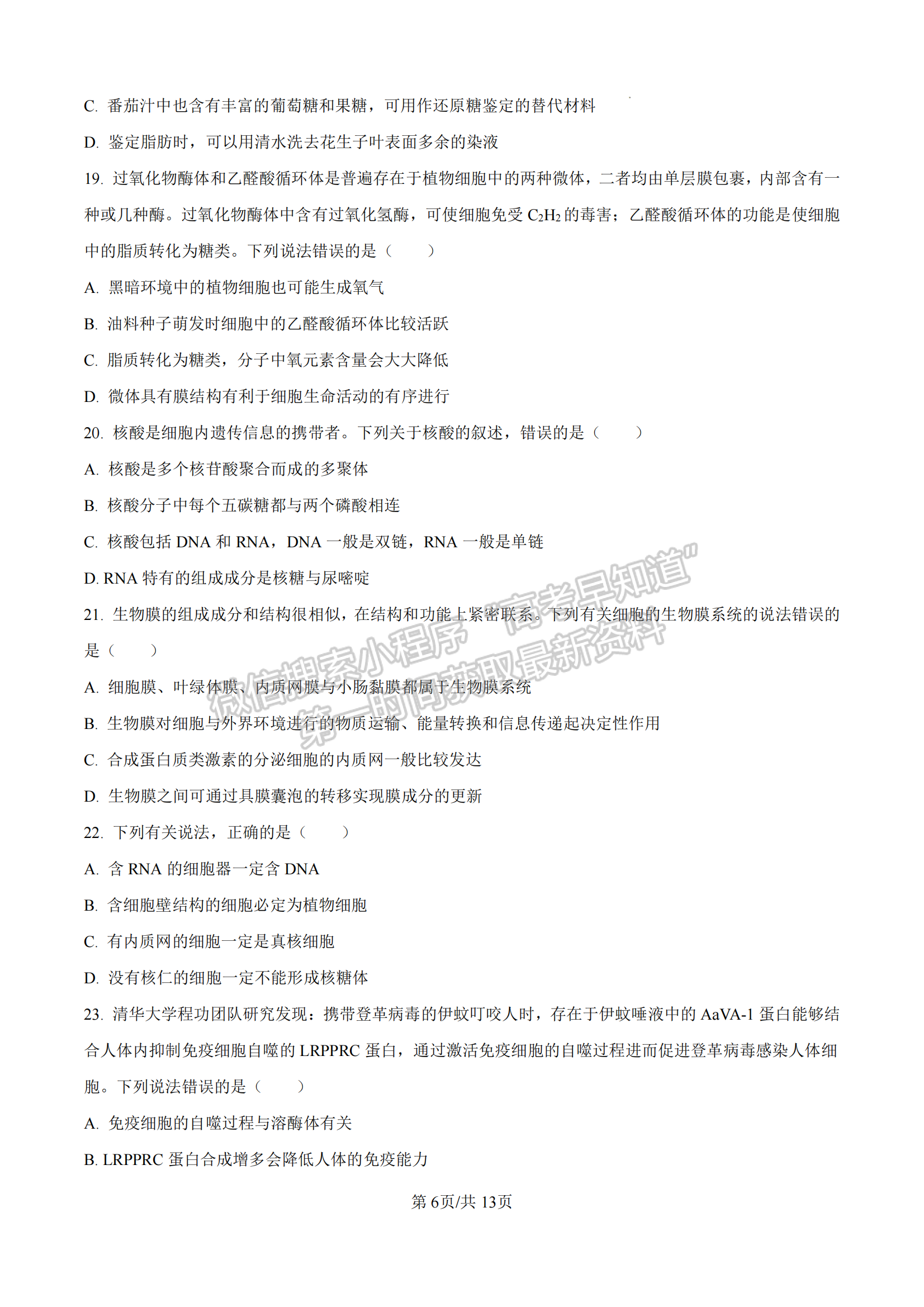 福建省泉州第五中學(xué)2024-2025學(xué)年高一11月期中考試生物試卷及參考答案