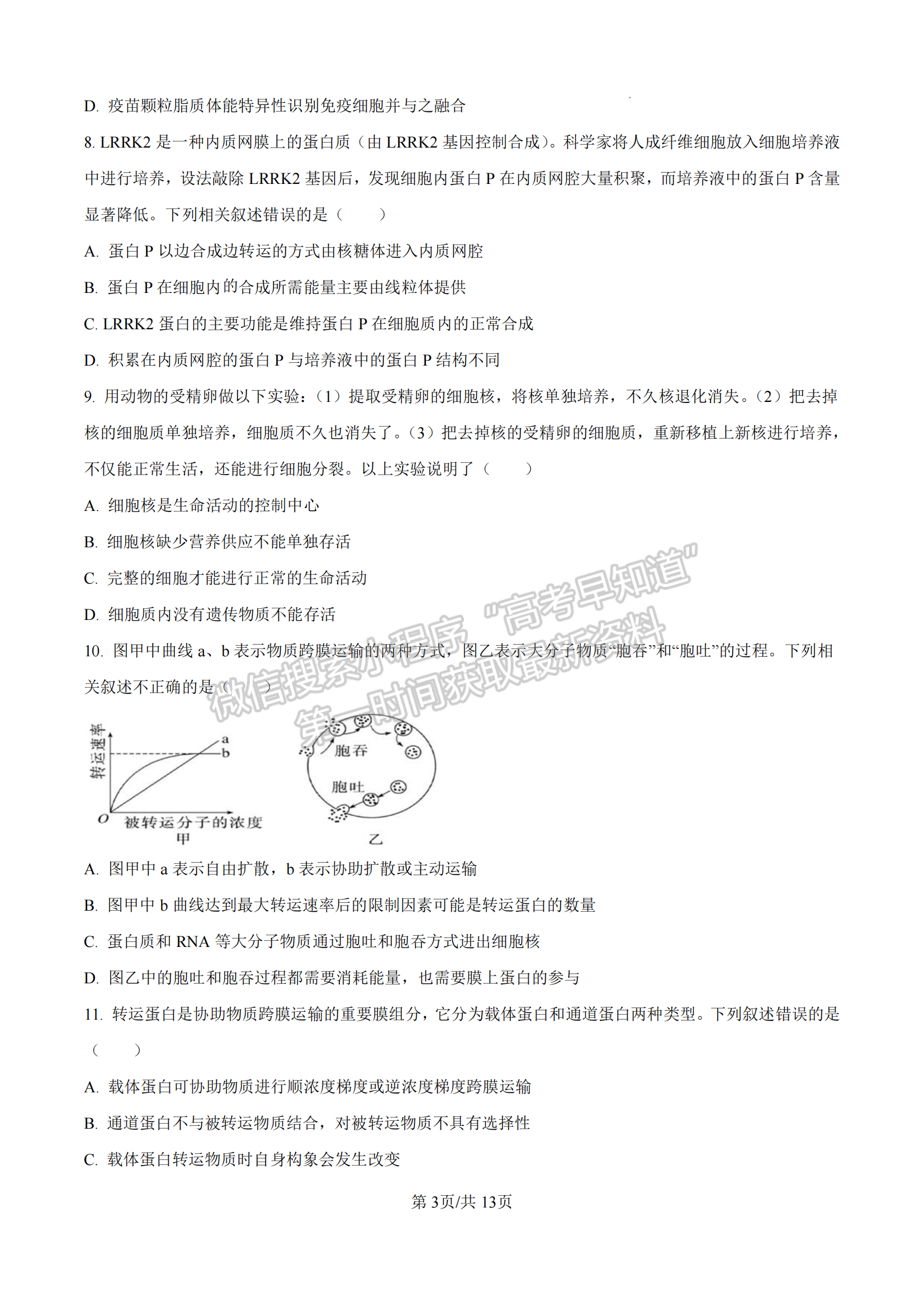 福建省泉州第五中學(xué)2024-2025學(xué)年高一11月期中考試生物試卷及參考答案