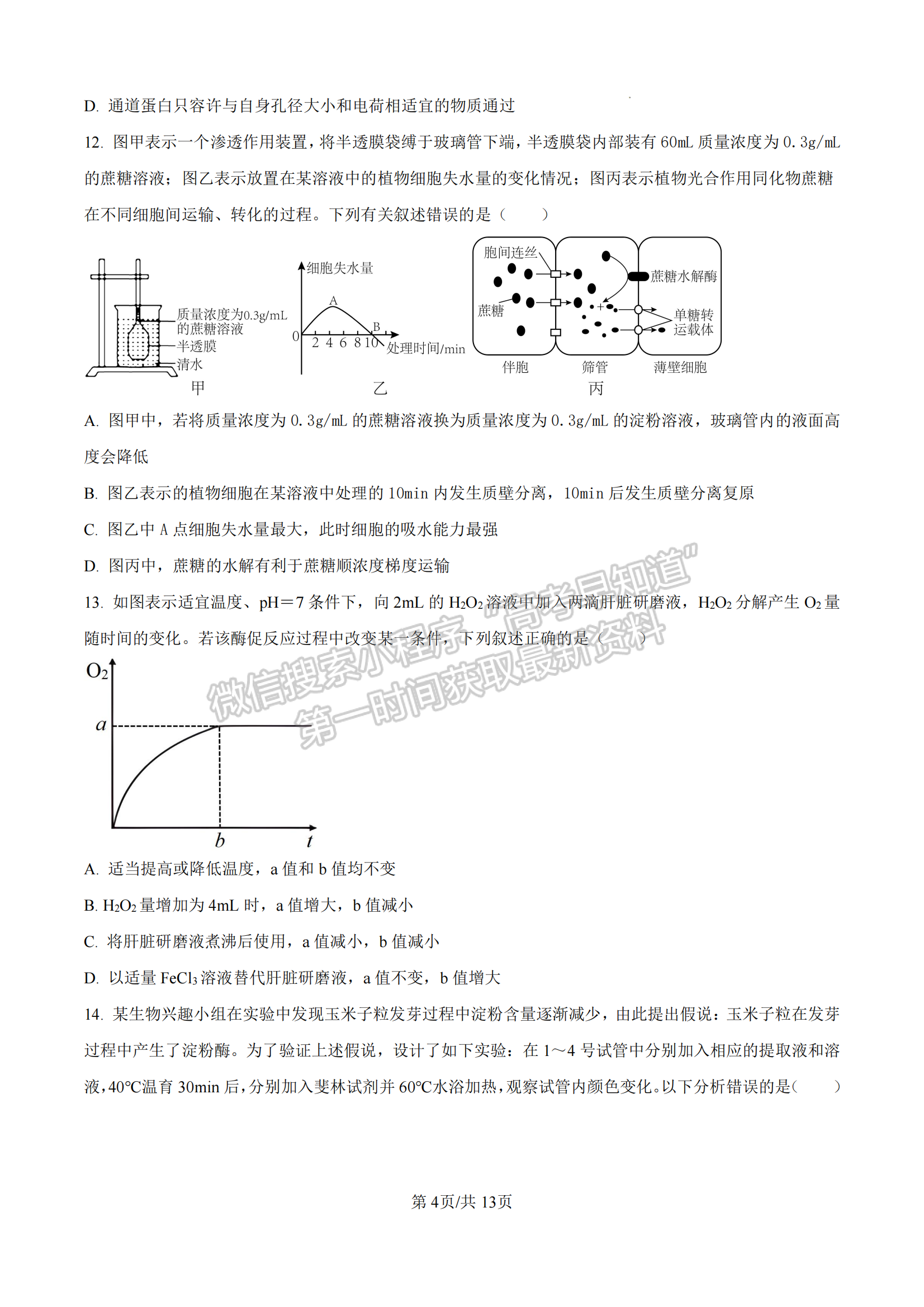 福建省泉州第五中學(xué)2024-2025學(xué)年高一11月期中考試生物試卷及參考答案