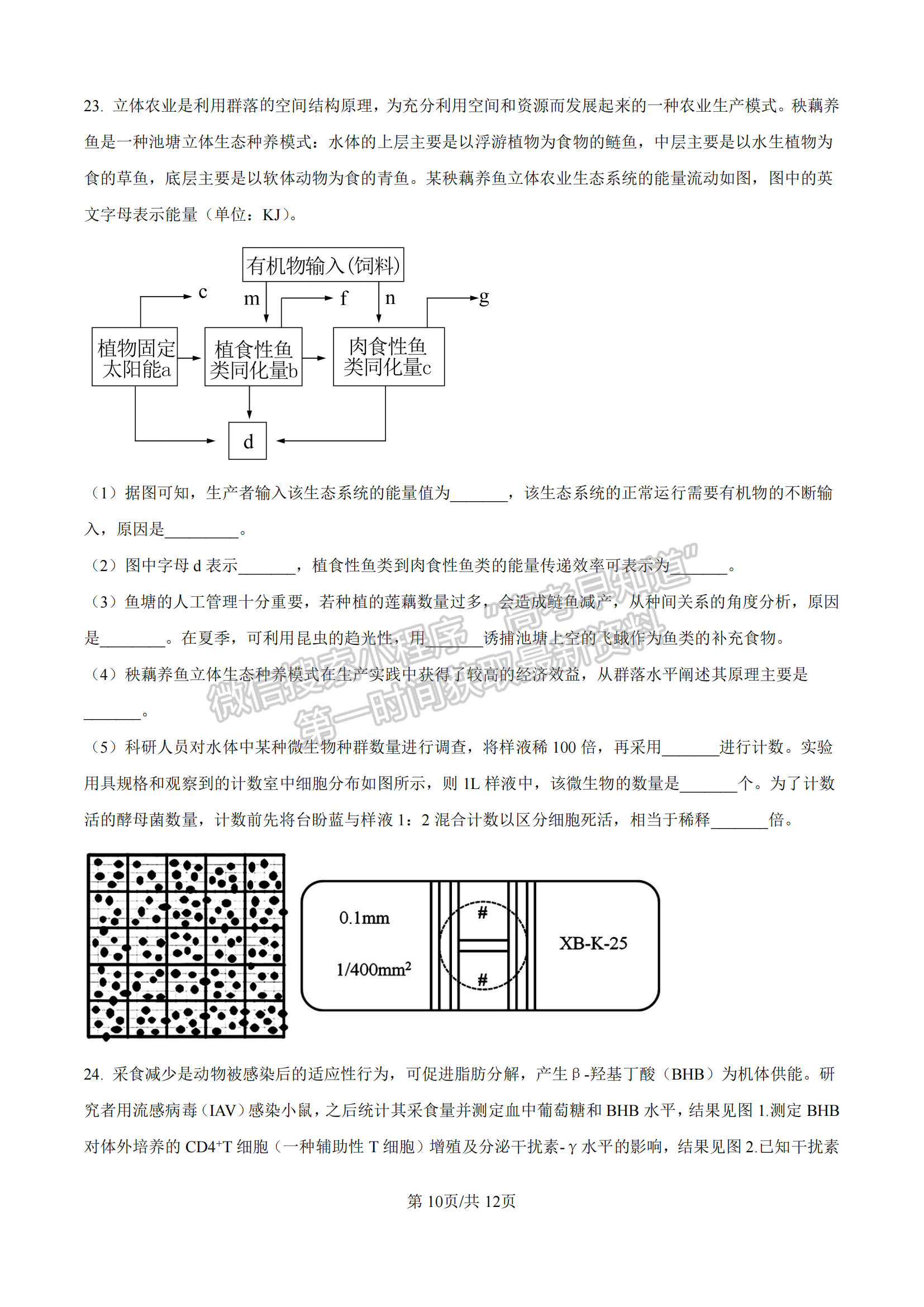 福建省厦门双十中学2024-2025学年高二上学期第二次月考生物试题及参考答案