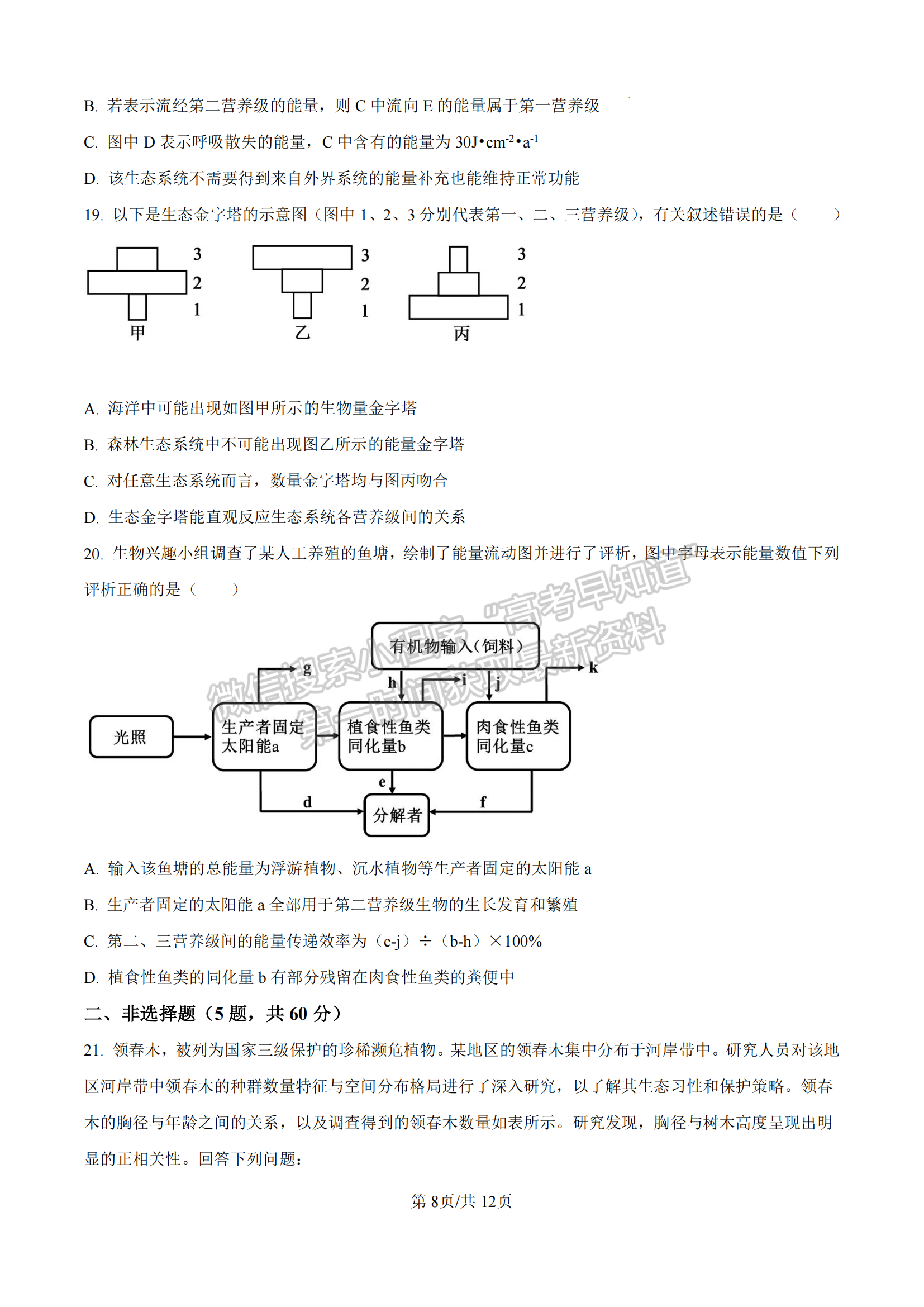 福建省厦门双十中学2024-2025学年高二上学期第二次月考生物试题及参考答案