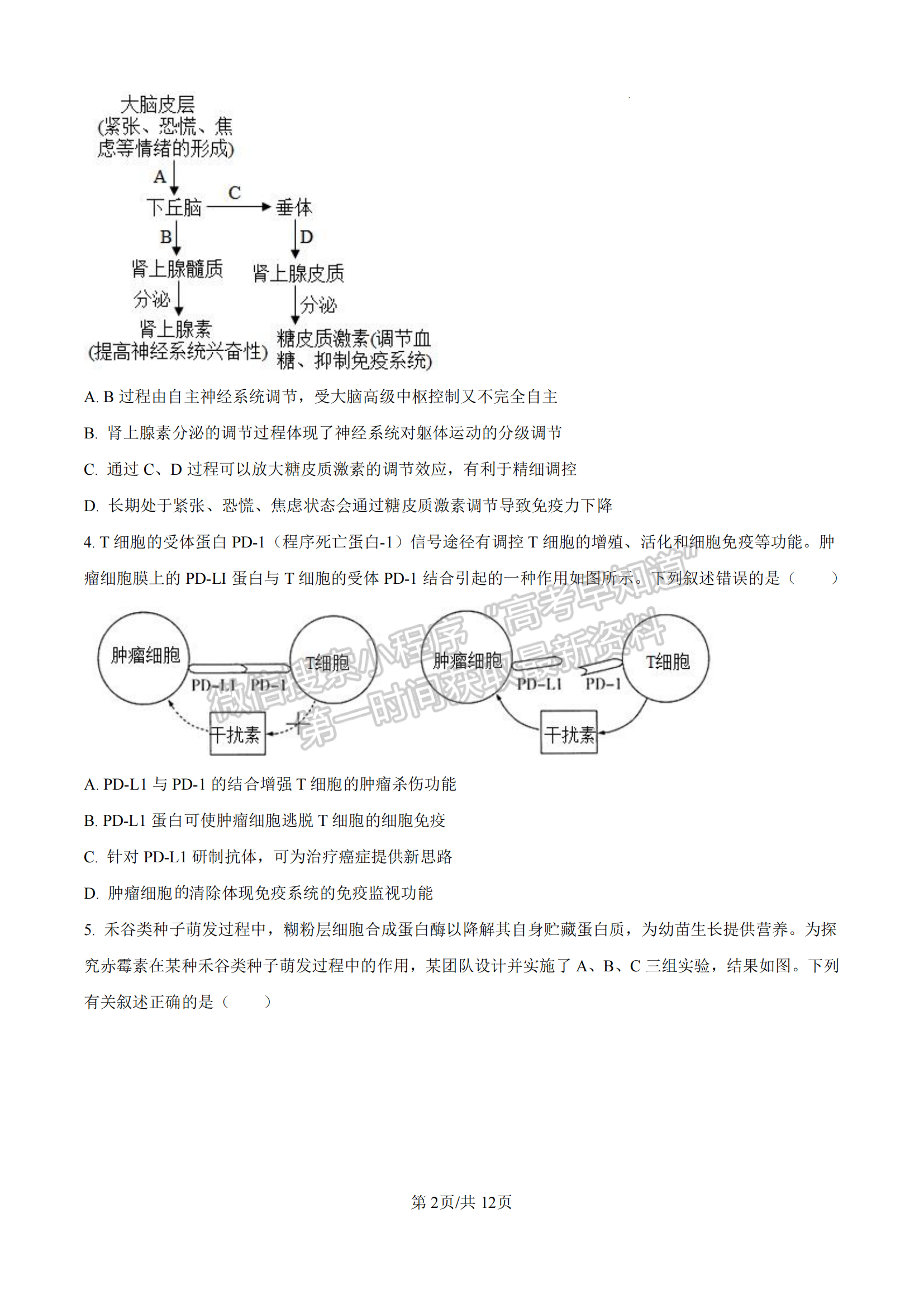 福建省厦门双十中学2024-2025学年高二上学期第二次月考生物试题及参考答案