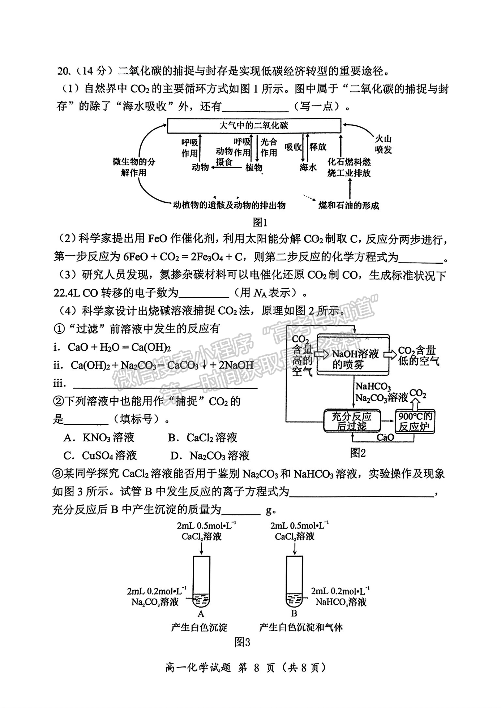 福建省三明市2024-2025学年高一上学期期末考试化学试题及参考答案