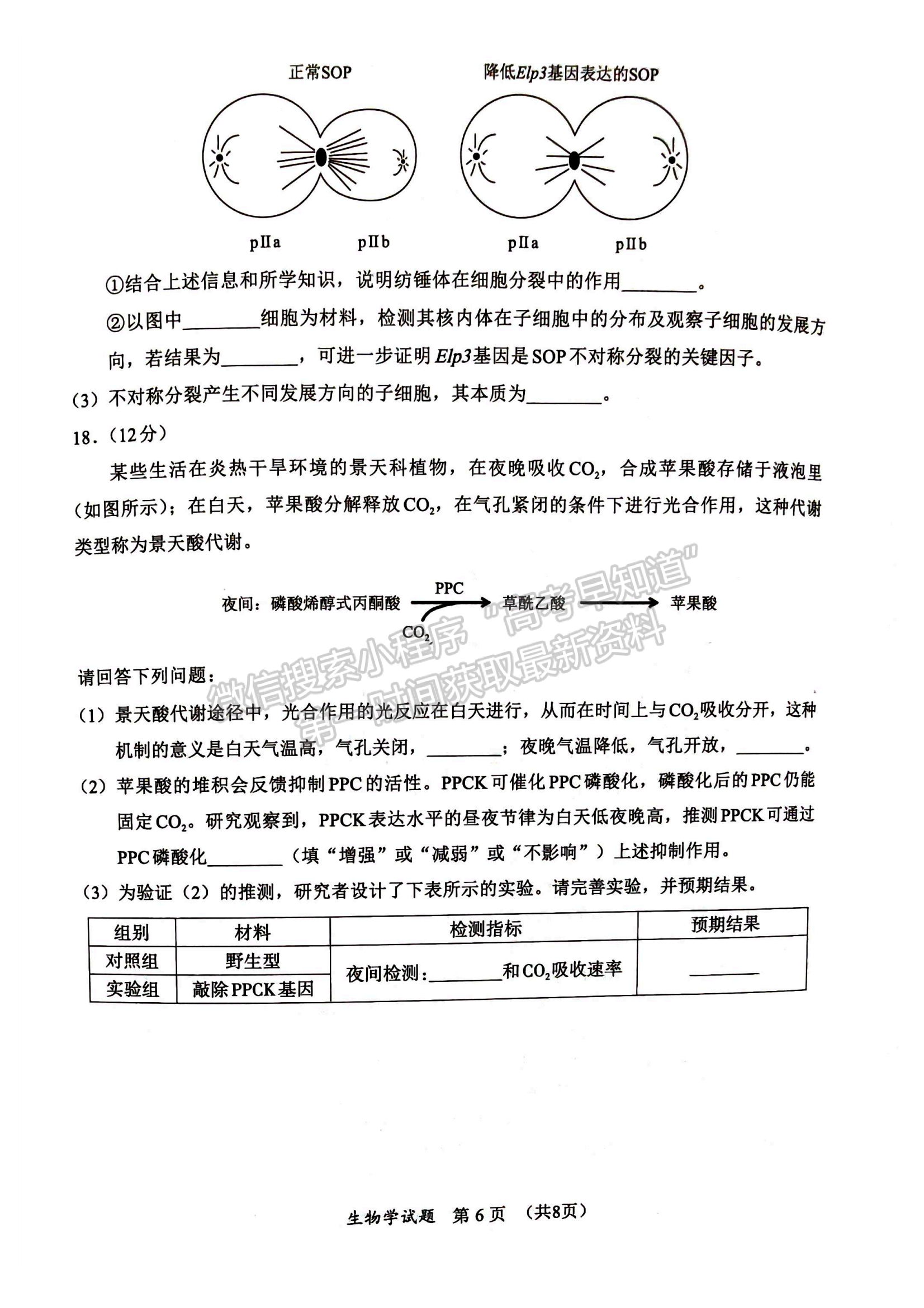 厦门市2024-2025学年度第一学期高一年级期末质量检测生物试卷及参考答案