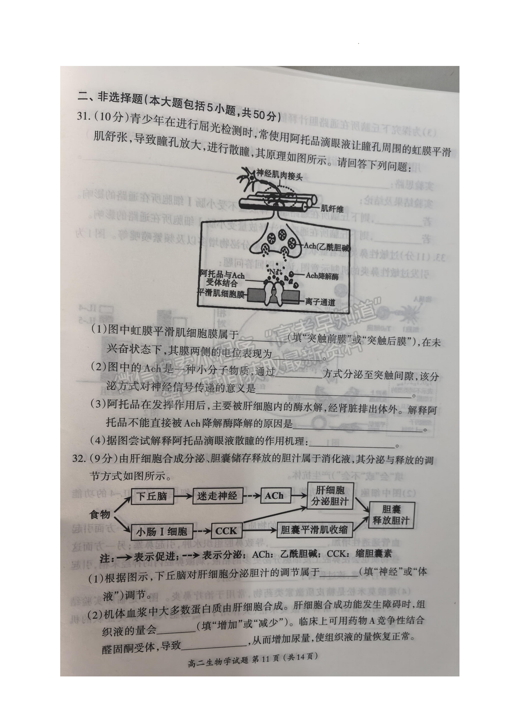 福建省三明市2024-2025学年高二上学期1月期末生物试题及参考答案