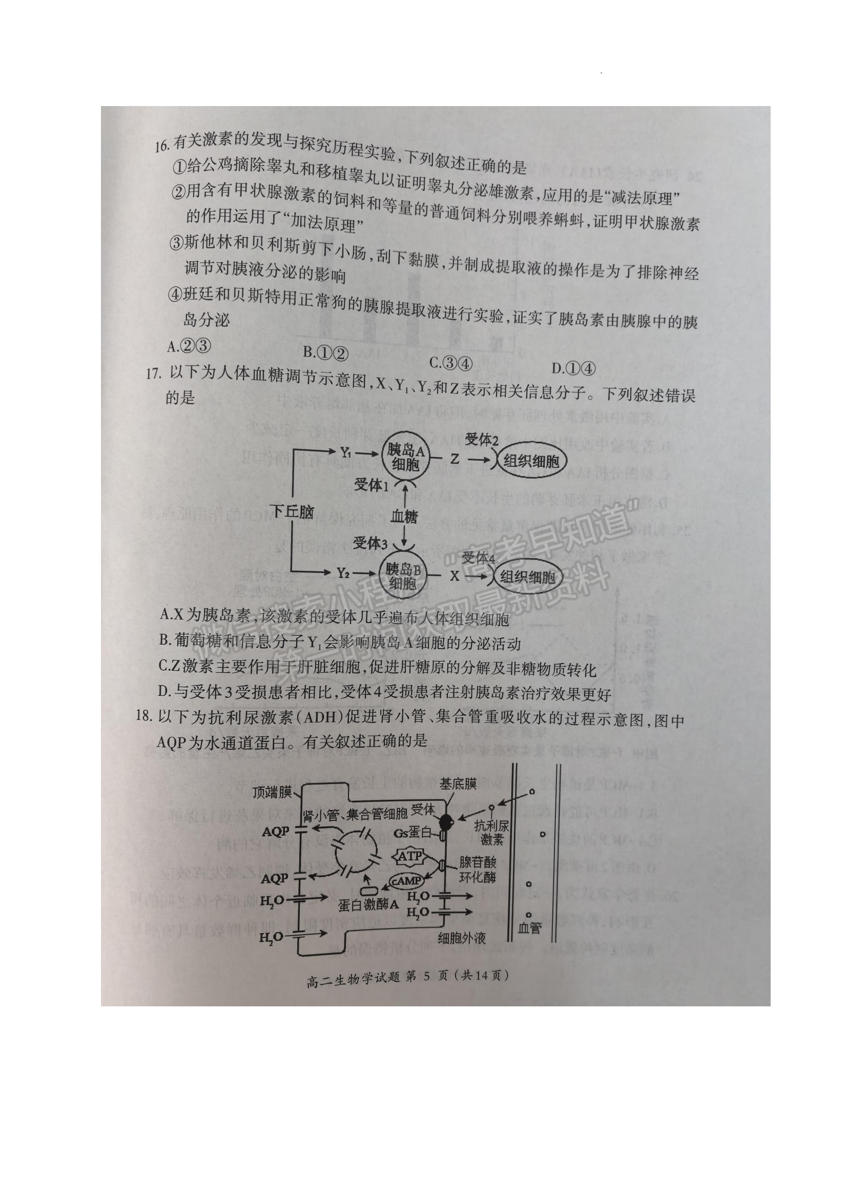 福建省三明市2024-2025学年高二上学期1月期末生物试题及参考答案