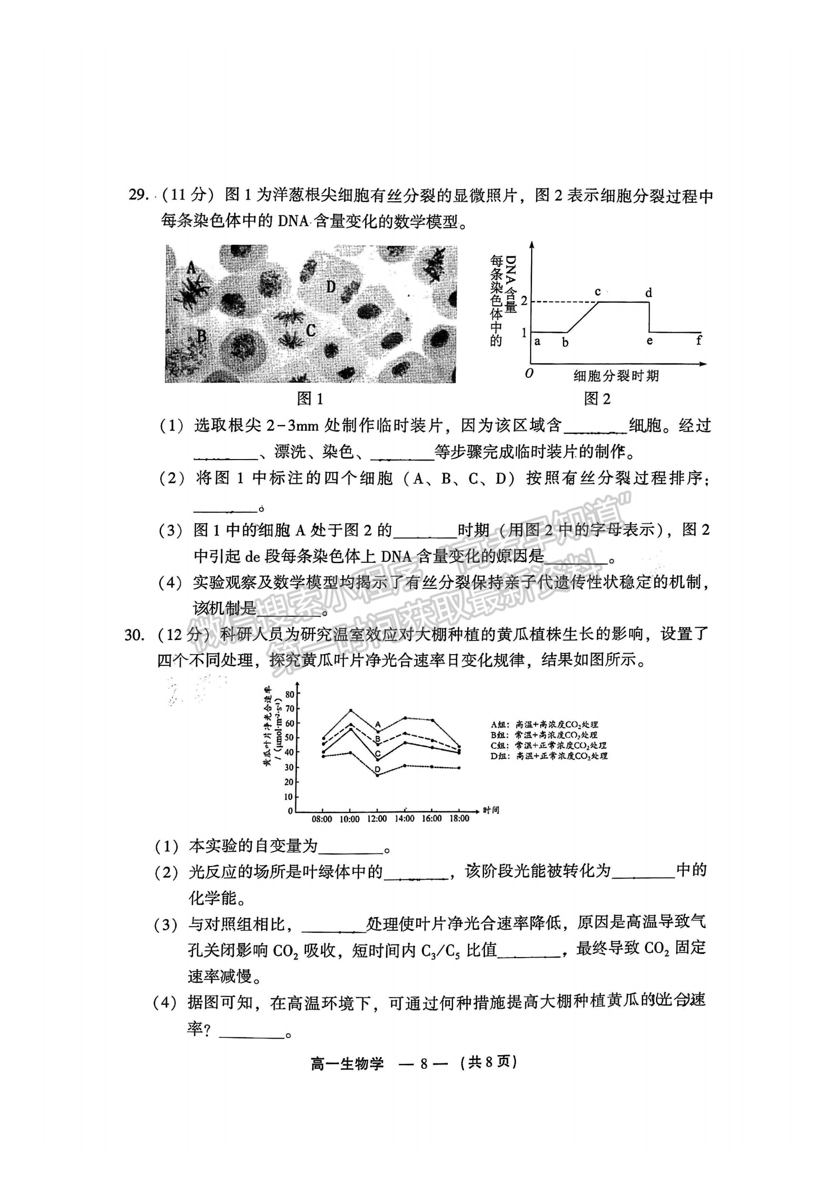 2025年福州高一质检生物试卷及参考答案