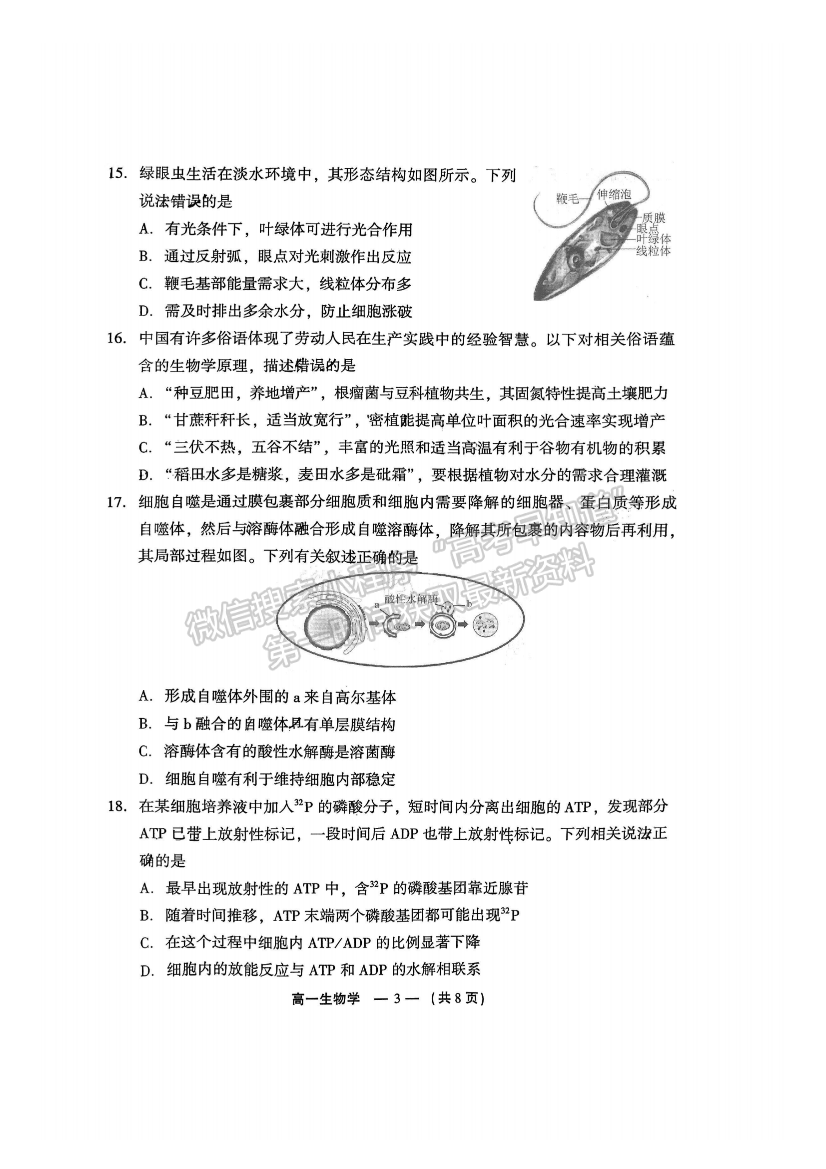 2025年福州高一质检生物试卷及参考答案