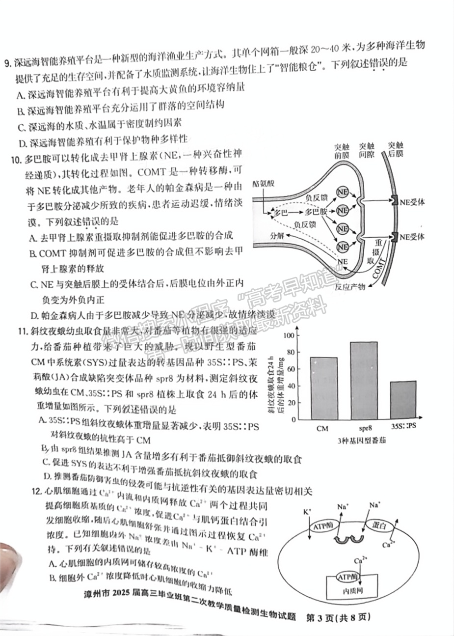 2025届漳州二检生物试卷及参考答案