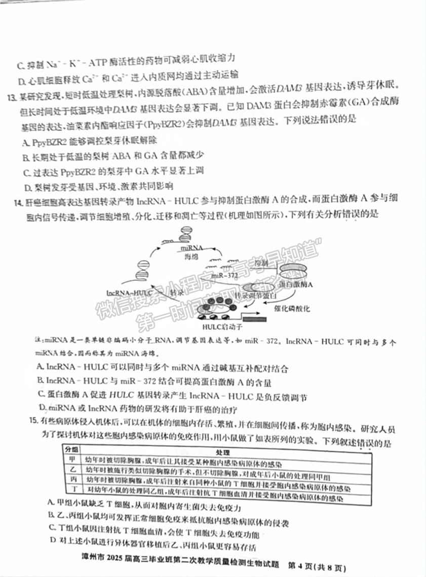 2025届漳州二检生物试卷及参考答案