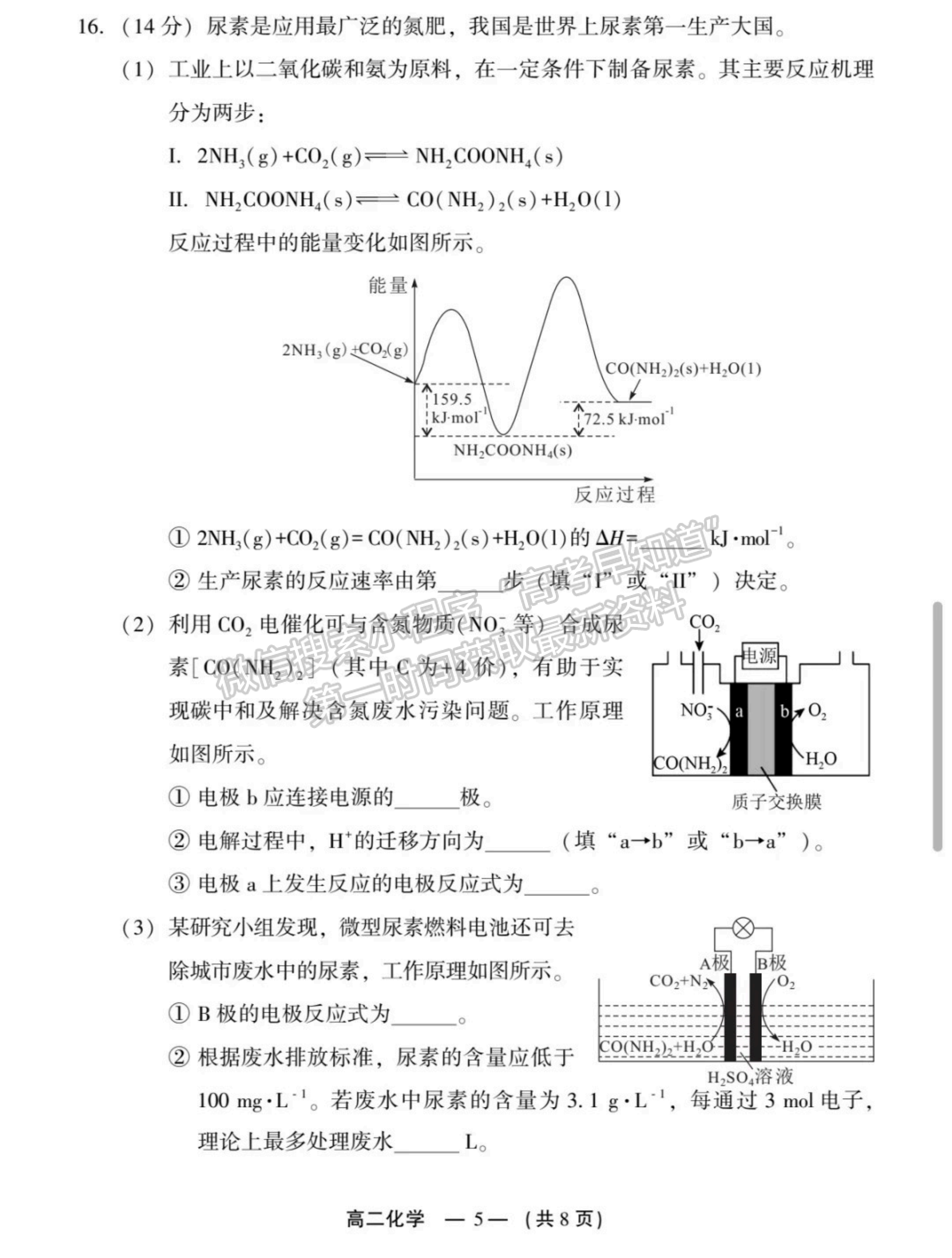 2025年福州高二质检化学试卷及参考答案